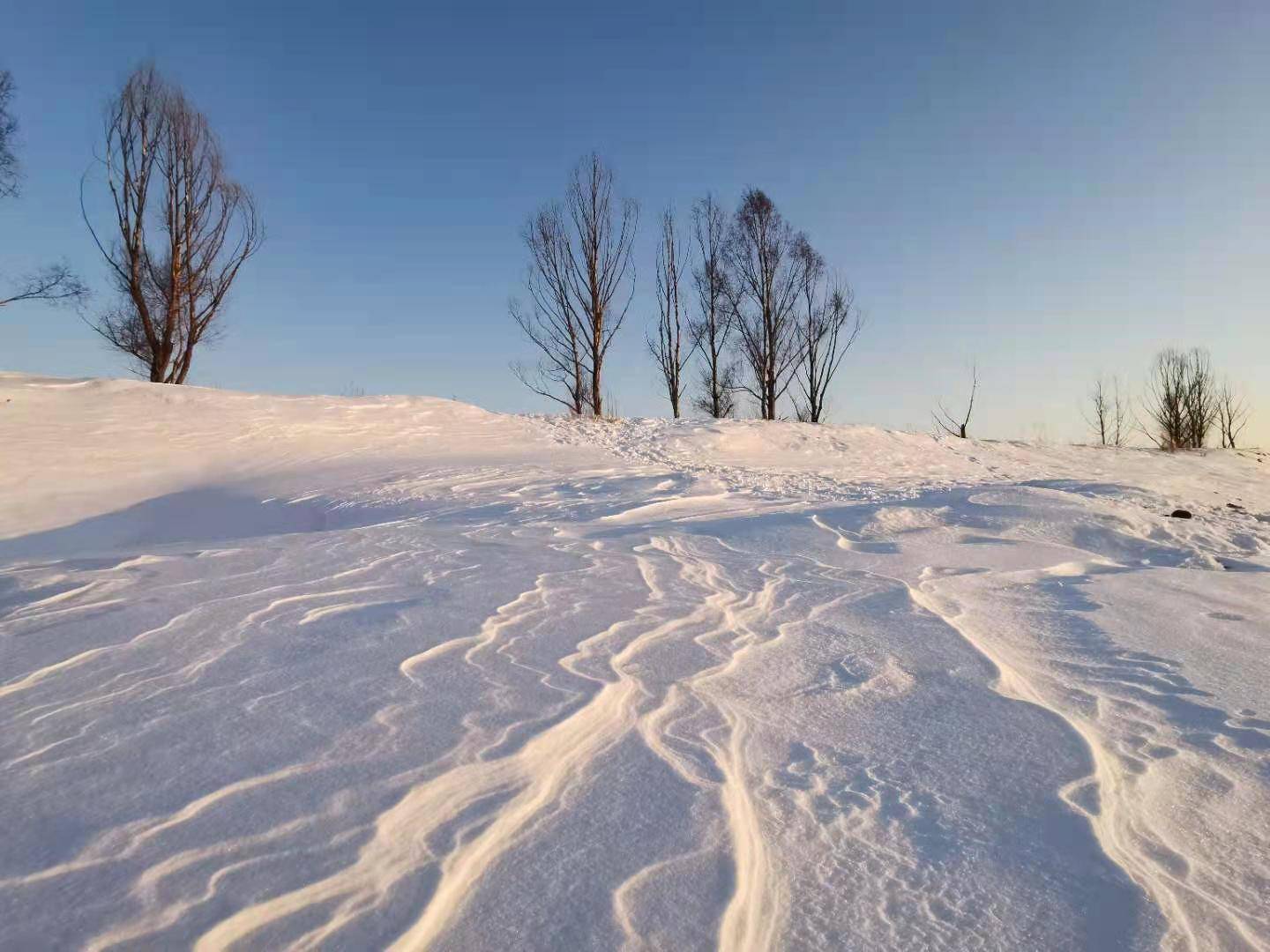 下载大智慧最新版，开启自然美景治愈之旅探索下载