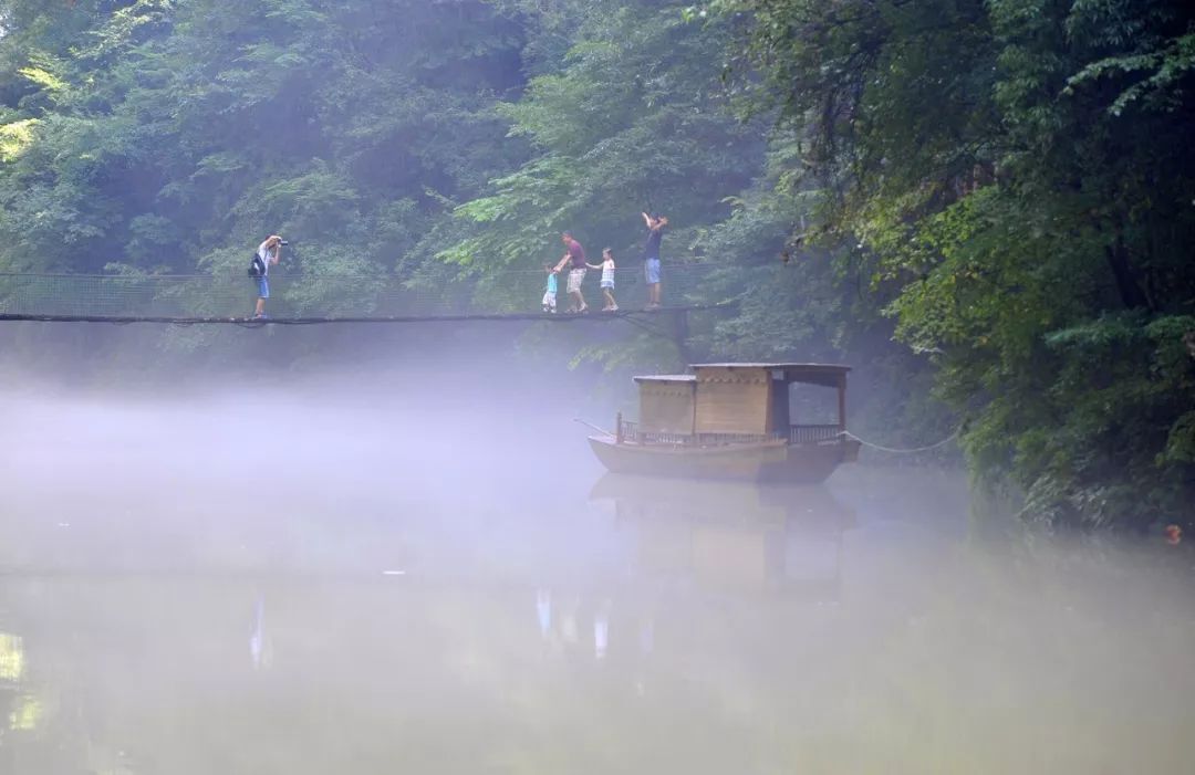 卫康最新，自然美景的治愈之旅探索
